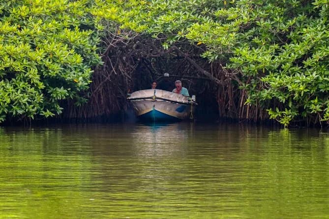 Chelsea Tours Sri Lanka travel photo 14