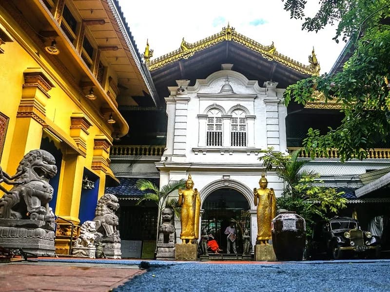 Chelsea Tours Sri Lanka travel photo 7
