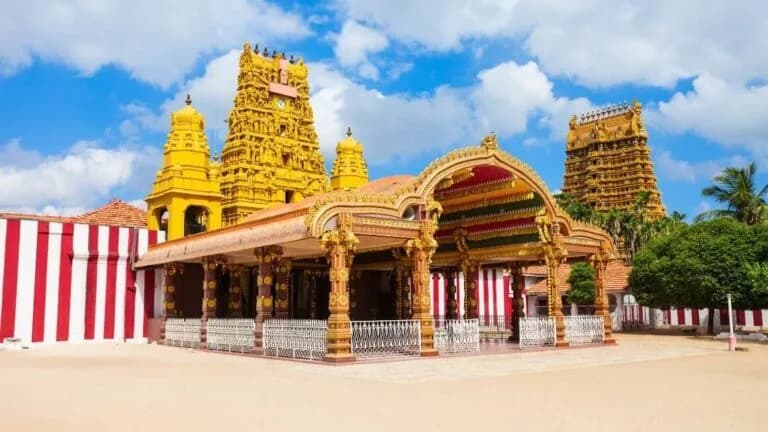 Chelsea Tours Sri Lanka travel photo 9