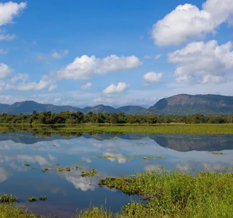 Dunuwila Lake, Matale