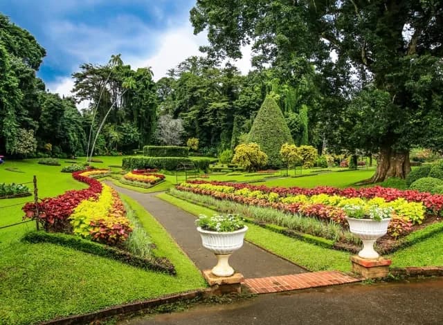 Hakgala Botanical Garden, Nuwara Eliya